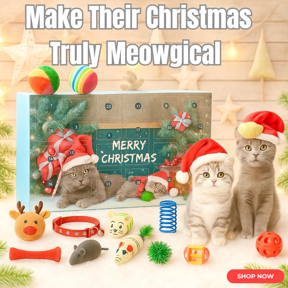 Christmas Cat Advent Calendar 2025