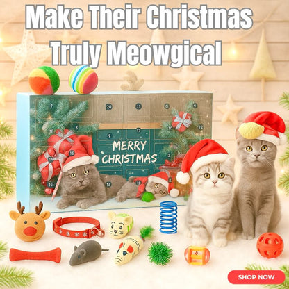 Christmas Cat Advent Calendar 2025