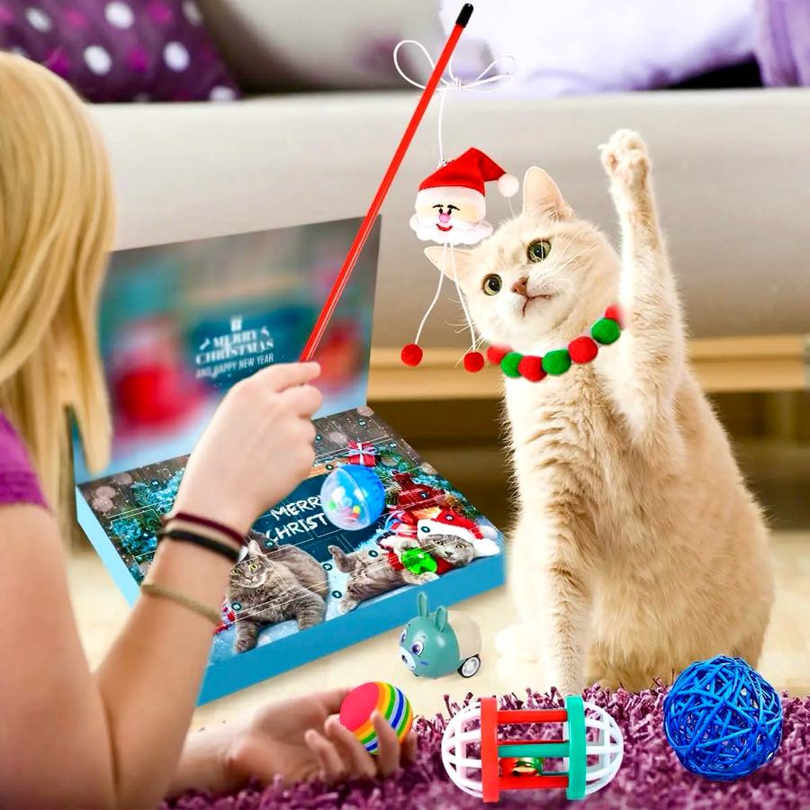 Christmas Cat Advent Calendar 2025