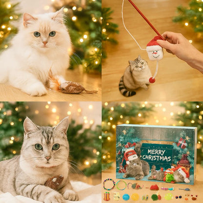 Christmas Cat Advent Calendar 2025