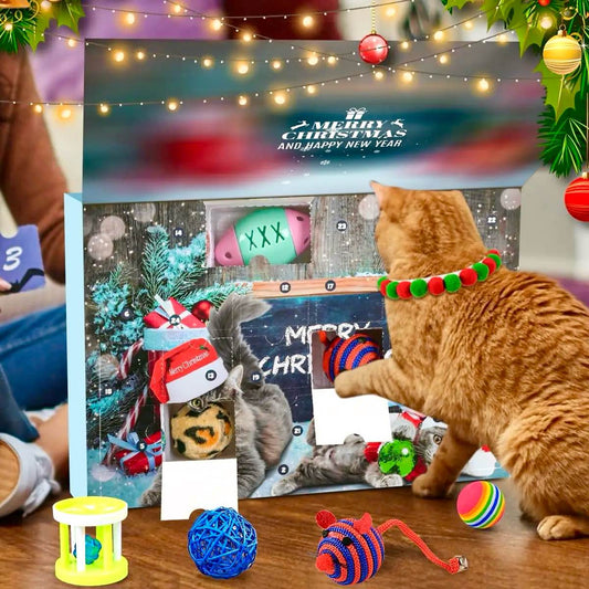 Christmas Cat Advent Calendar 2025