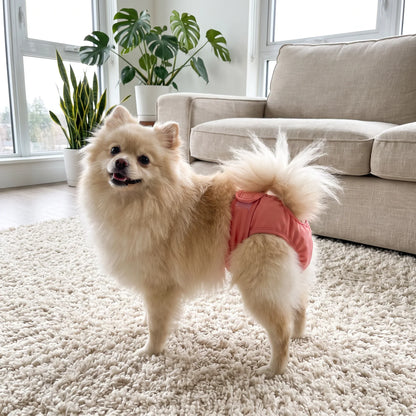 Washable Dog Diaper
