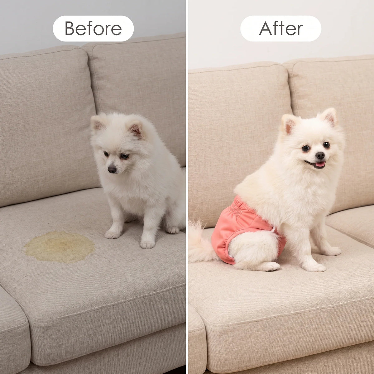 Washable Dog Diaper