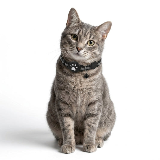 Cat Tracker Collar – No Monthly Fees